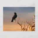 Search for sunlit postcards Sunset