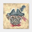 Search for pirate magnets Illustration