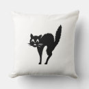 Search for black cat Orange