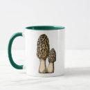 Search for morel mugs Mycology