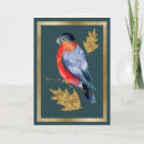 Search for robin watercolor cards Holly