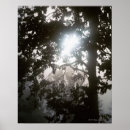 Search for lush art Adventure