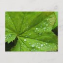 Search for inger postcards Green
