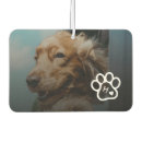 Search for christmas car air fresheners Minimal