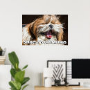 Search for smile posters Dog