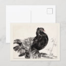 Search for fantail postcards Pigeon