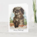 Search for scruffy cards Dog