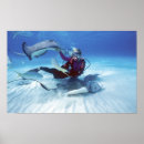 Search for stingray posters Animal