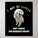 Search for dog design posters Puppy