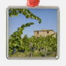 Search for tuscany christmas tree decorations Nature