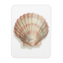 Search for shell pink magnets Shells