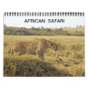 Search for giraffe photography Giraffes