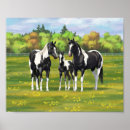 Search for quartering posters Quarter horse