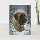 Search for mastiff christmas cards Pet