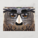 Search for cool birds postcards Funny