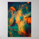 Search for pictures of shells art Seashell