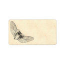 Search for apothecary labels Magic