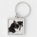 Search for fluffy kitten key rings Animal