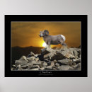 Search for horned mammal art Mammals