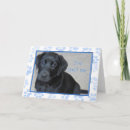 Search for spoiled cards Dog