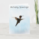 Search for hummingbird birthday cards Bird watcher