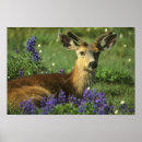 Search for black deer posters Nature