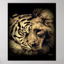 Search for tiger king posters Wild