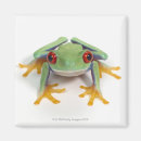 Search for digital animals magnets Cold blooded