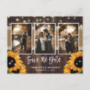 Search for 3 sunflowers postcards Rustic