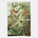 Search for hummingbird tea towels Biology