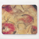 Search for cave painting electronics Animal