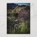 Search for boyce Arizona