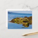 Search for beach pebbles postcards Water