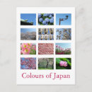 Search for blue white postcards Flowers