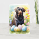 Search for labrador easter cards Animal