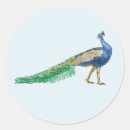 Search for peacock party stickers For her