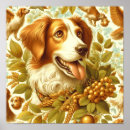 Search for brittany dog posters Puppy