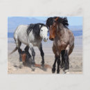 Search for furious postcards Animal