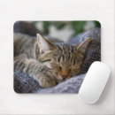 Search for sleeping kitten electronics Young animal