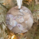 Search for sleeping cat christmas tree decorations Animal