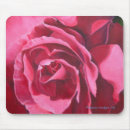 Search for rose mousepads Floral design