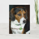 Search for beagle memorial Hound