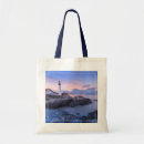 Search for beacon bags Landscape