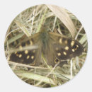 Search for speckle stickers Wildlife