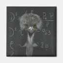 Search for einstein Science