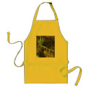 Search for luring aprons Fly