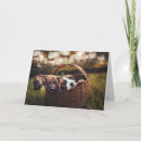 Search for beagle lover cards Hound