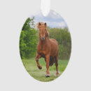 Search for funny oval christmas tree decorations Animal