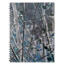 Search for aspen notebooks Forest