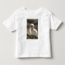 Search for northwestern tshirts National monument